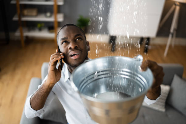 Best 24-hour water damage restoration  in Hackettstown, NJ