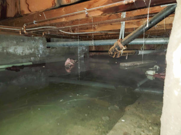 Best Local water damage restoration  in Hackettstown, NJ