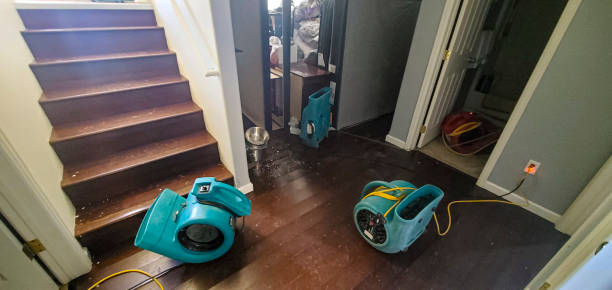 Best Water damage restoration near me  in Hackettstown, NJ
