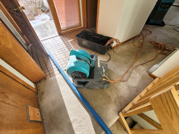Best Water damage mitigation services  in Hackettstown, NJ