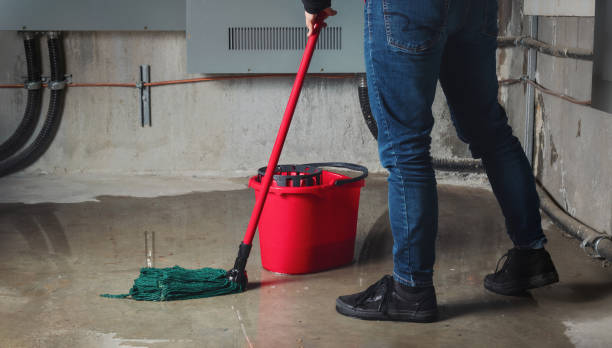 Best Commercial water damage restoration  in Hackettstown, NJ