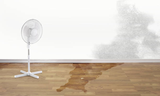 Best Sewage cleanup and water damage restoration  in Hackettstown, NJ