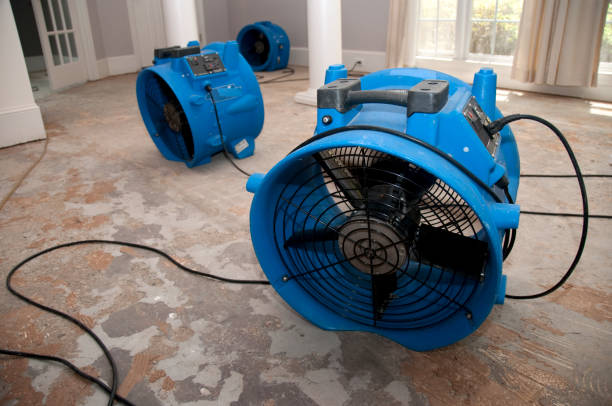 Best 24-hour water damage restoration  in Hackettstown, NJ