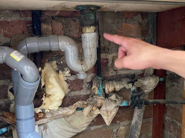 Best Mold removal after water damage  in Hackettstown, NJ