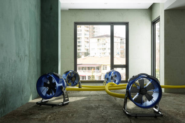 Best Water damage mitigation services  in Hackettstown, NJ